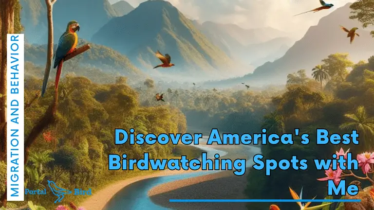 Discover America’s Best Birdwatching Spots with Me