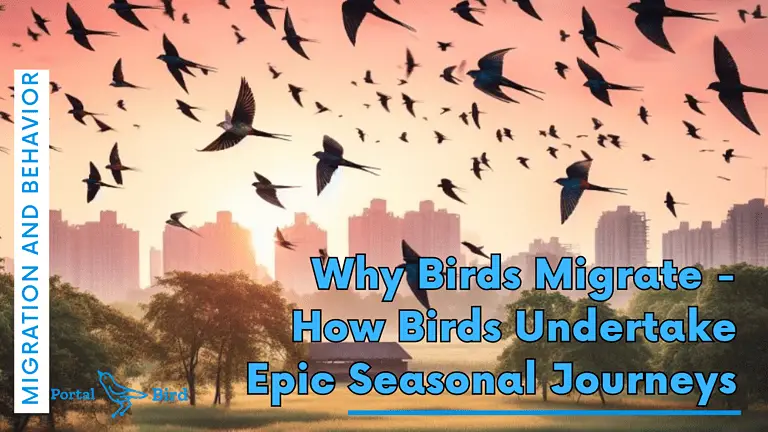 Why Birds Migrate – Just How Birds Undertake Impressive Seasonal Journeys