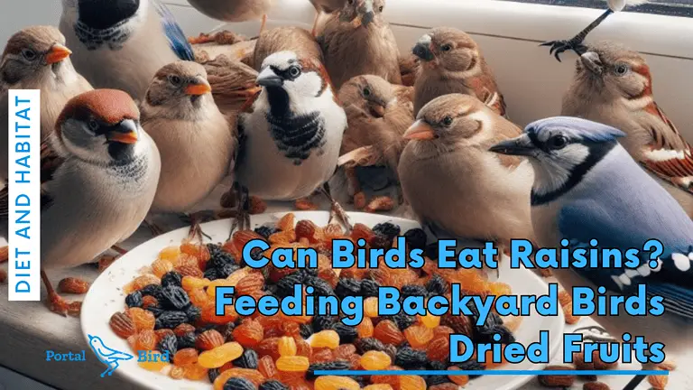 Can Birds Consume Raisins? Feeding Yard Birds Dried Fruits