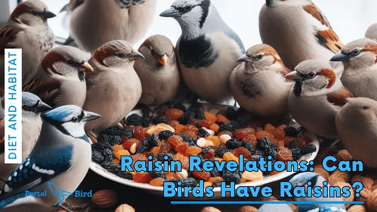 Raisin Revelations: Can Birds Have Raisins?