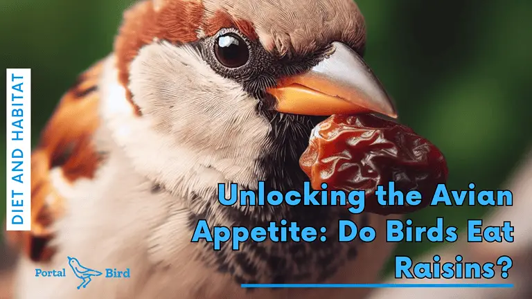 Unlocking the Avian Appetite: Do Birds Eat Raisins?