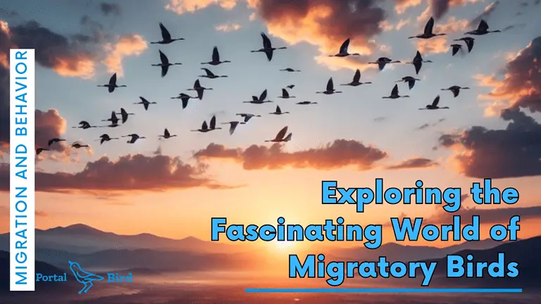 Exploring the Fascinating World of Migratory Birds