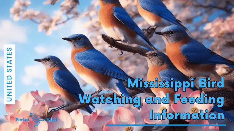 Mississippi Bird Watching and Feeding Information