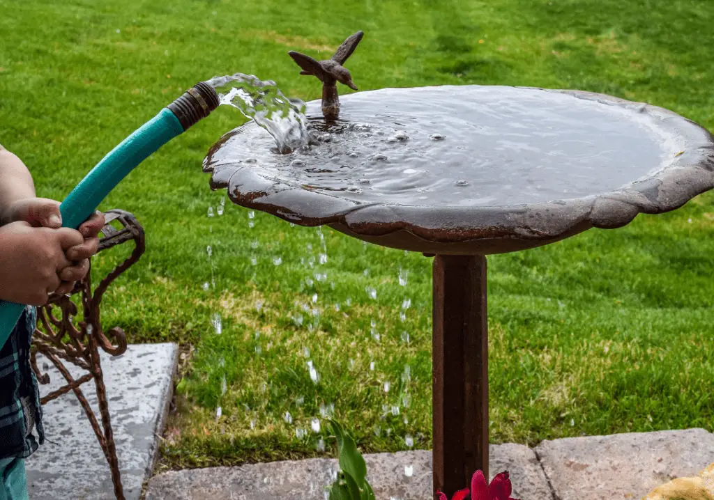 person filling bird bath with water
