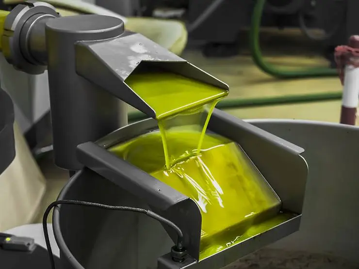 Olive oil extraction process in a factory