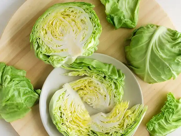 Slices of green cabbages on a plate