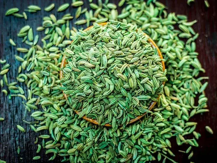 Green raw fennel seeds on a wooden table