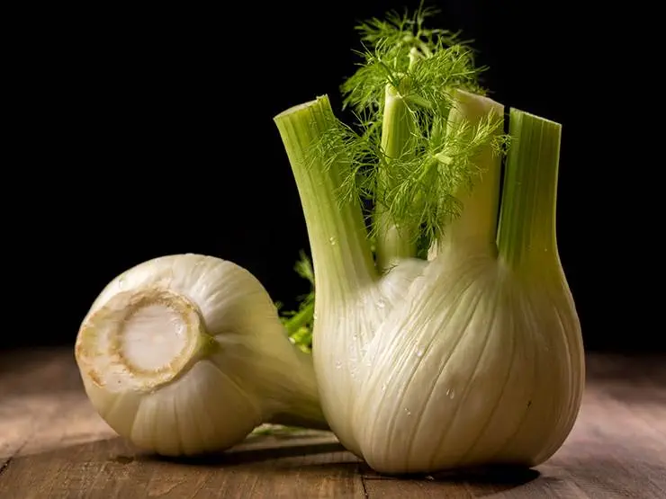 Two ripe fennel bulbs on a wooden table