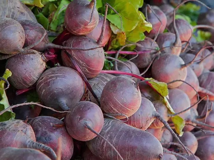 Pile of fresh and raw beets