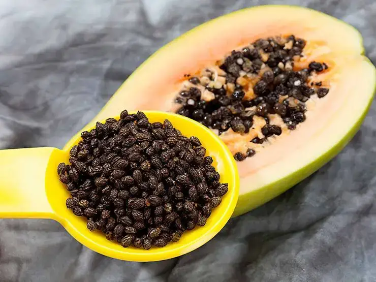 Raw papaya seeds in a yellow spoon