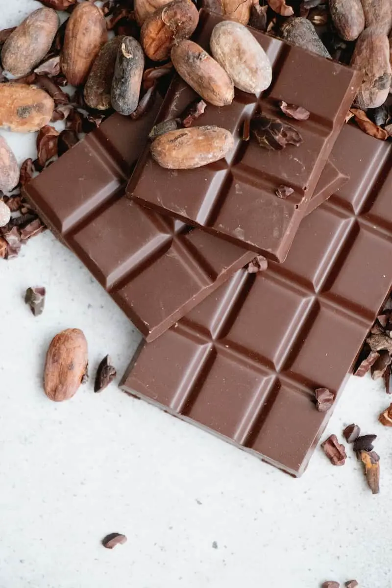 Can Birds Consume Delicious Chocolate