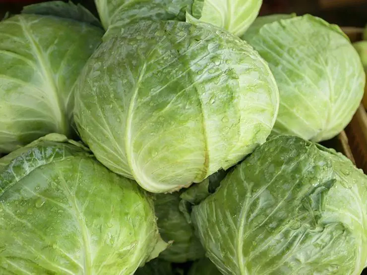 Fresh cabbage heads stacked for sell in a store