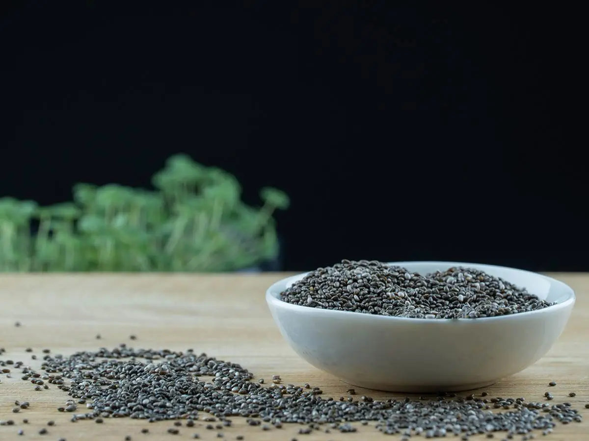 A bowl of chia seeds with chia sprouts in the background