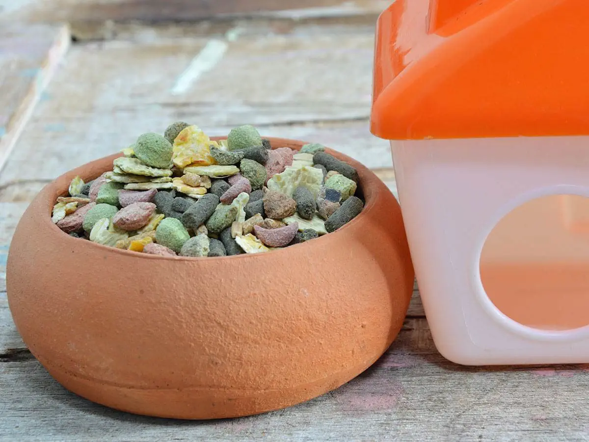 A pottery-full of hamster food beside a little hamster house