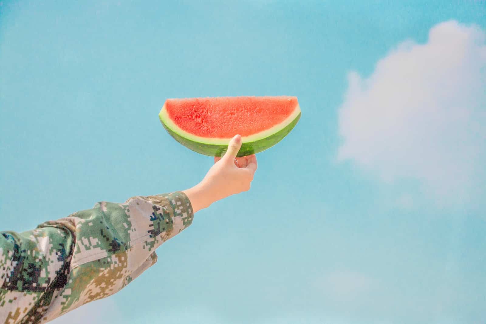 Can Birds Consume Watermelon